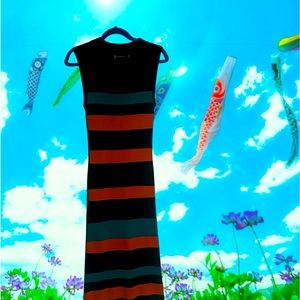 New York and Company long knit dress. Size 1 X. Beautiful vibrant color block.